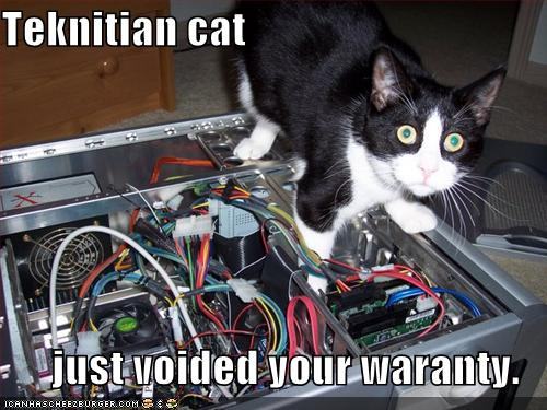 technician-cat.jpg